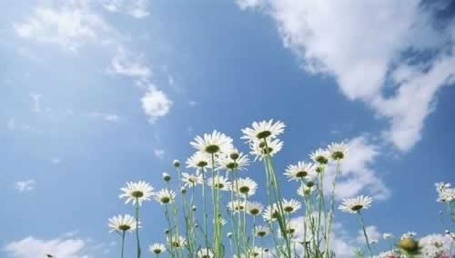 客服说风控审核怎么办处理办法(图)