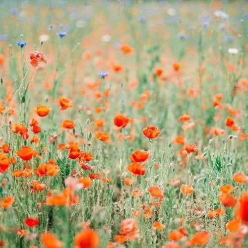 网上被黑出款通道维护不给提现处理对策(图)