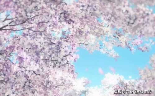 365平台提取失败提示风控审核什么问题（图）