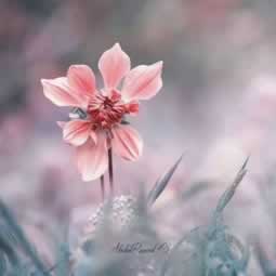 网络被黑出黑公司的联系方式咋办(图)