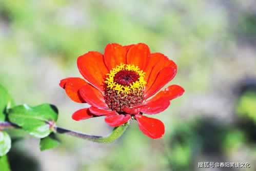 网上提款失败被退回系统提示网络国际线路波动异常无法出款操作办法（图）