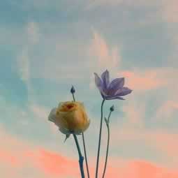 在网站提款失败说异常碰到了如何挽回（图）