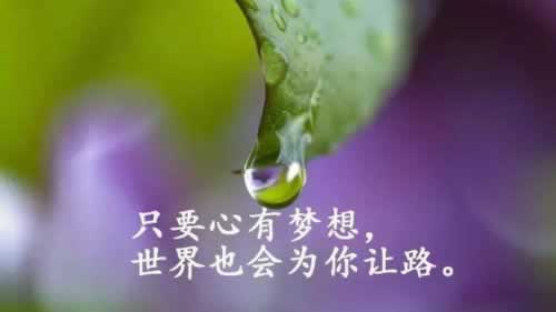 被黑系统审核该怎么办呢办法有哪些（图）