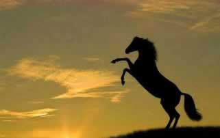 提款一直出款中我该怎么办(图)