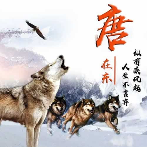 在平台被黑营前客服不给提款怎么这样的（图）