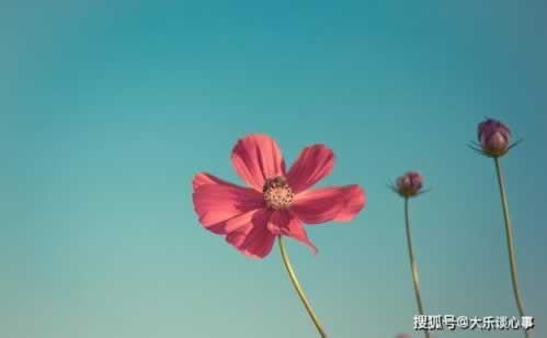 碰到提款失败说财务审核失败补救措施（图）