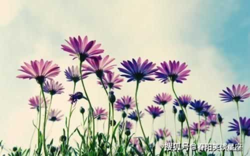 风控审核提款审核不通过拒绝出款啥破解方法（图）