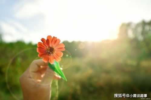 网上维护不能出要解决方式（图）