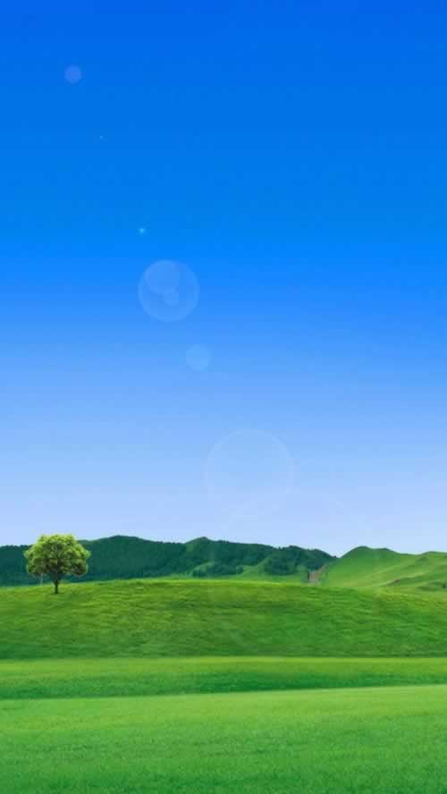 遇到不能出金的人补救对策(图)