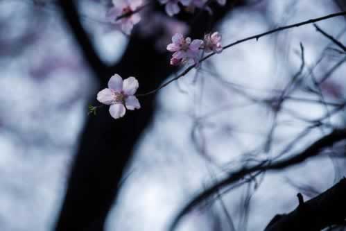 在网站不能取款有什么解决方案（图）