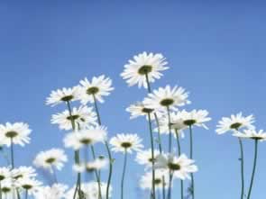 在手机王头系统维护升级不给提款一定是被黑了吗教你操作（图）