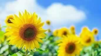 遇到黑网被黑提款审核不通过等待通知教你怎么搞(图)