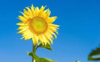 在网上碰到账号异常不能提款咋办碰到了怎么面对（图）