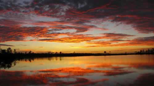 网上赢钱风控审核取款失败操作策略（图）