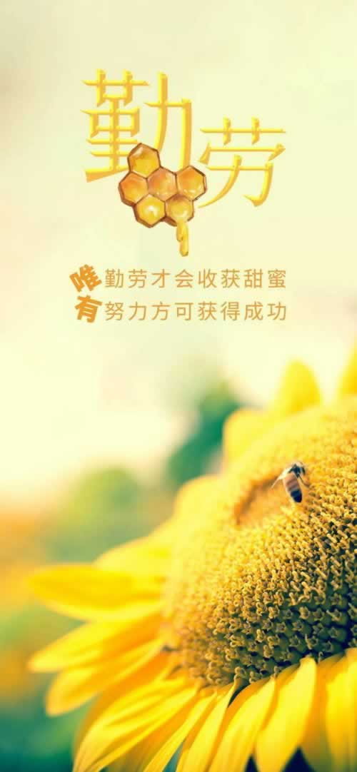 在网上平台提款不到账怎么才能成功碰到了如何处理（图）