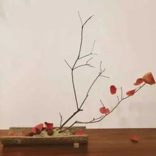 揭秘网络被黑不给提款的解决办法如何面对（图）