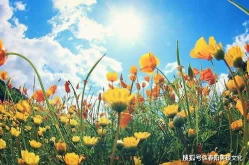 网站涉嫌套利风控审核快速挽回（图）