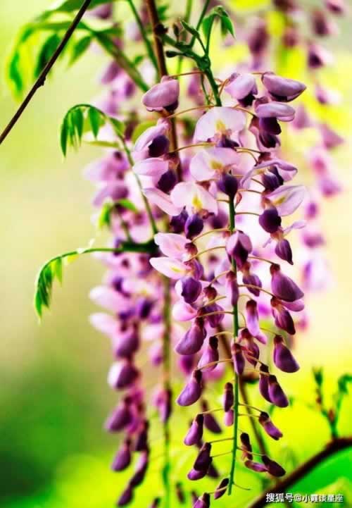 平台第三方取款通道维护升级中不能出款操作思路(图)