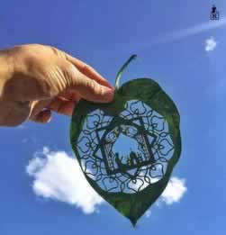 在网上不能取款的解决办法已经有解决过来处理办法（图）