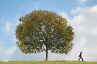 网站审核不过不给提款怎么办操作方式(图)