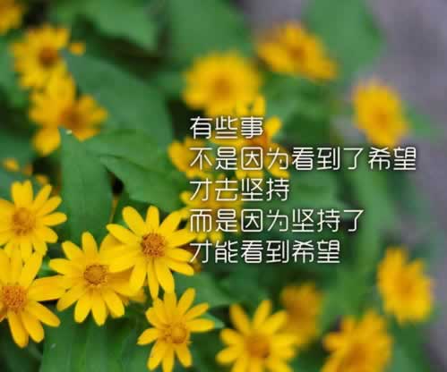 在黑网赢钱账户异常提款失败解决靠这个处理办法（图）