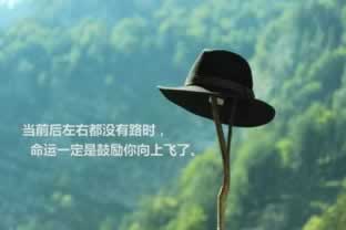 审核和审查两词的区别到底怎么挽回（图）