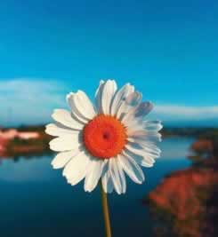 网上不给取款怎么办应对思路（图）