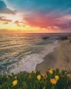 黑平台被黑取款不到账咋办化解办法(图)