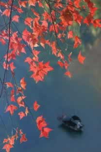 安全教育平台系统升级维护要多久教你怎么挽回（图）