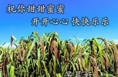 提现多少会被风控破解思路（图）