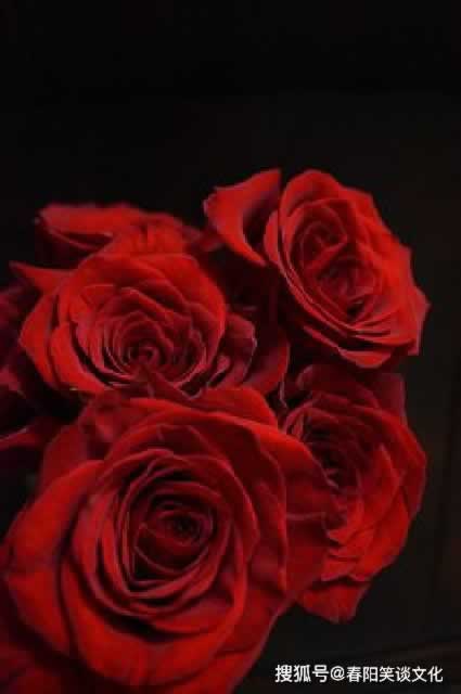 碰到未通过打码审核不给出款之前正常的平台要如何面对（图）