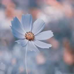 网络已经好几天不给提款化解方法(图)