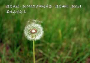 网上拒绝出款不给提现解决方法（图）
