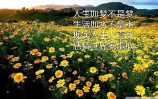 在365客服说财务清算提款失败操作方式（图）