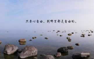 在网上平台营前系统显示财务清算提取失败操作策略（图）