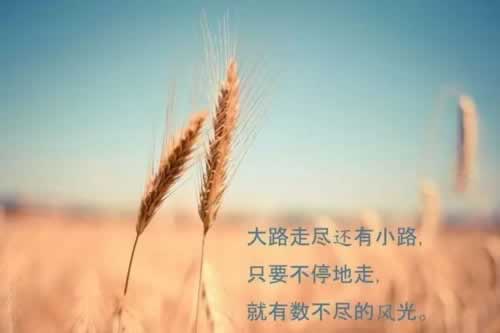 藏分出款可信解决方式(图)