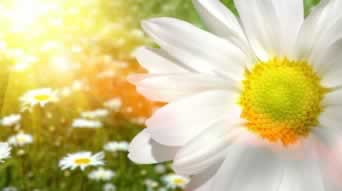 客服说出款通道临时维护线路故障检测数据未更新应对策略(图)