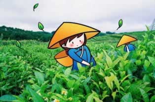 网上注单未回传不给提款有什么办法出款吗解决方案(图)