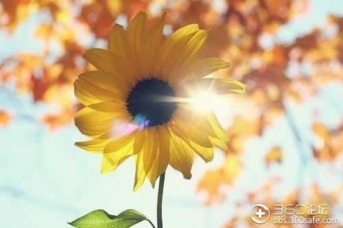 碰到黑网提款失败说财务审核失败处理方式（图）