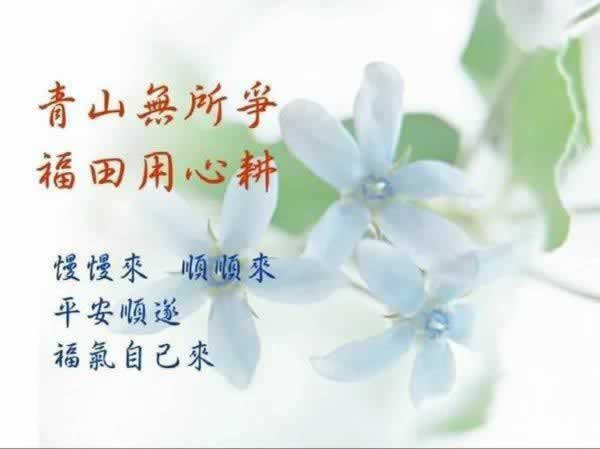 在黑平台玩提款申请出款不了破解对策（图）