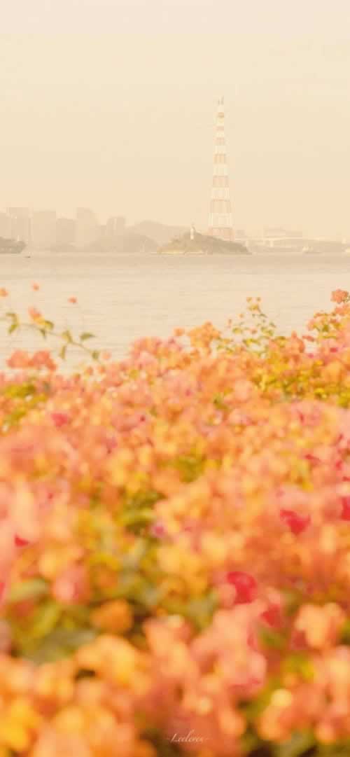 网上被黑.客服各种理由不给提款操作策略(图)