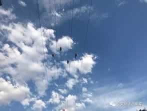 在黑平台上被黑账号IP登录异常有什么解决方案（图）