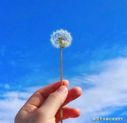 遇到限制不给提款怎么处理操作策略（图）
