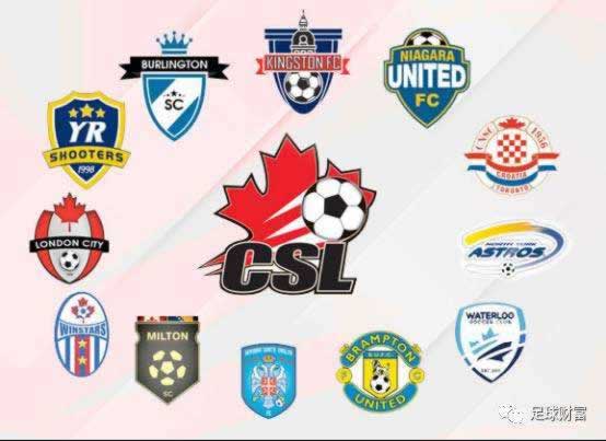 在黑网不能提怎么避免（图）