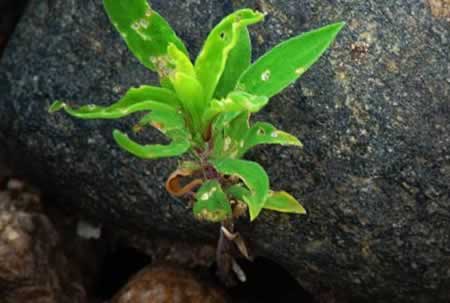 提款通道维护怎么办碰到了如何破解(图)