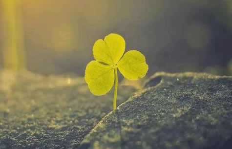 网上说系统升级出款通道维护不给我出款操作办法（图）