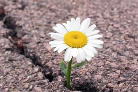 网络平台系统自动抽查审核不让提款处理方法（图）