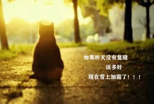 网上被黑藏分出款真的能成功操作思路（图）