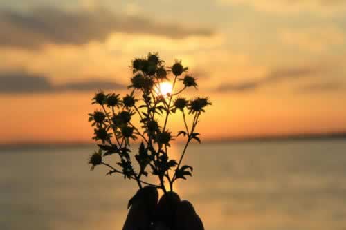 网上平台不给出款客服说破解方式(图)