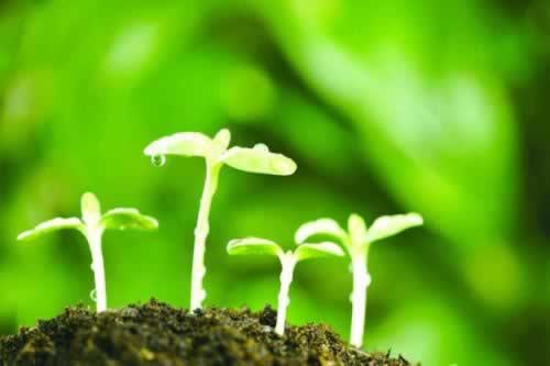 在网上平台赢钱系统显示财务清算提不出款操作思路（图）